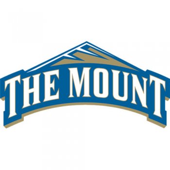 2007-Pres Mount St. Marys Mountaineers Primary Logo Iron-on Stickers (Heat Transfers)