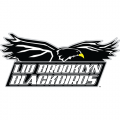 2008-Pres LIU-Brooklyn Blackbirds Primary Logo Decals Stickers