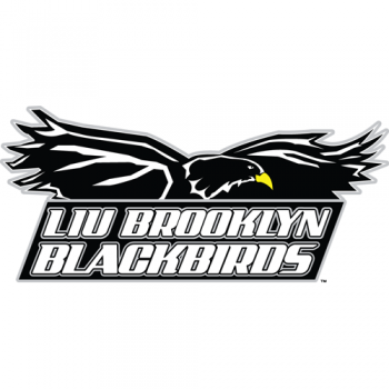 2008-Pres LIU-Brooklyn Blackbirds Primary Logo Decals Stickers