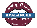 colorado avalanche script logo iron on transfers