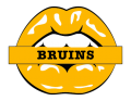 boston bruins script logo iron on transfers