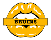 boston bruins script logo iron on transfers