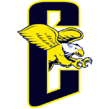 Canisius Golden Griffin 2000-Pres Alternate Logo Decals Stickers