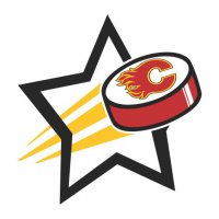 Calgary Flames Hockey Goal Star iron on transfer