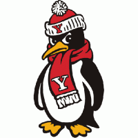 1989-Pres Youngstown State Penguins Mascot Logo Decals Stickers