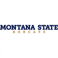 2013-Pres Montana State Bobcats Wordmark Logo Decals Stickers