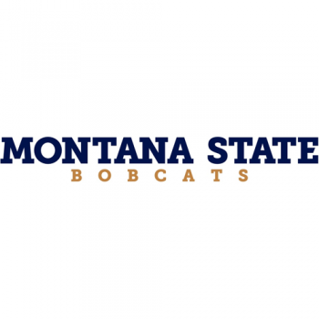 2013-Pres Montana State Bobcats Wordmark Logo Decals Stickers