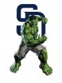 San Diego Padres Hulk iron on transfers