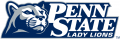 Penn State Nittany Lions 2001-2004 Alternate Logo Iron-on Stickers (Heat Transfers) 2