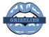 memphis grizzlies script logo iron on transfers