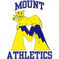 1995-2006 Mount St. Marys Mountaineers Primary Logo Iron-on Stickers (Heat Transfers)