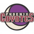 Phoenix Coyotes Alternate Logo  Iron-on Stickers (Heat Transfers) version 1