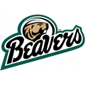 Bemidji State Beavers 2004-Pres Alternate Logo Iron-on Stickers (Heat Transfers)