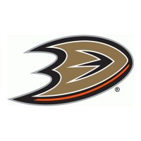 Anaheim Ducks 2013 14-Pres Primary Logo Iron-on Stickers (Heat Transfers)