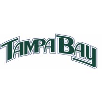 Tampa Bay Rays Script Logo  Iron-on Stickers (Heat Transfers)