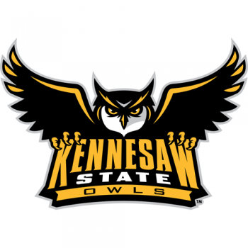 Kennesaw State Owls 2012-Pres Primary Logo Iron-on Stickers (Heat Transfers)