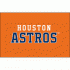 Houston Astros 2013-Pres Wordmark Logo Iron-on Stickers (Heat Transfers) 4