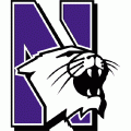 1981-Pres Northwestern Wildcats Primary Logo Decals Stickers