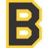 Boston Bruins Primary Logo  Iron-on Stickers (Heat Transfers)