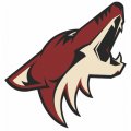 Phoenix Coyotes Primary Logo  Iron-on Stickers (Heat Transfers)