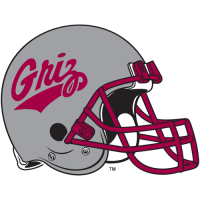 1996-Pres Montana Grizzlies Helmet Logo Iron-on Stickers (Heat Transfers)