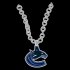 Vancouver Canucks necklace logo iron on transfer