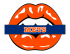 new york mets script logo iron on transfers