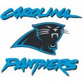 Carolina Panthers Alternate Logo  Iron-on Stickers (Heat Transfers)