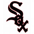 Chicago White Sox Alternate Logo  Iron-on Stickers (Heat Transfers)