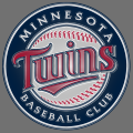 minnesota twins 2010-pres primary plastic effect logo decal sticker