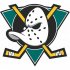 Anaheim Ducks Primary Logo  Iron-on Stickers (Heat Transfers)