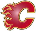 calgary flames 1995-pres primary plastic effect logo decal sticker