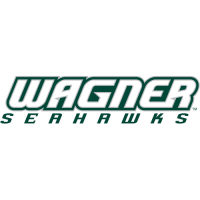 2008-Pres Wagner Seahawks Wordmark Logo Iron-on Stickers (Heat Transfers)