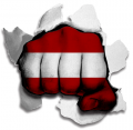 hulk LATVIA Flag iron on transfer