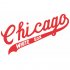 Chicago White Sox Script Logo  Iron-on Stickers (Heat Transfers) version 2