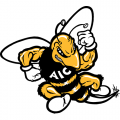 AIC Yellow Jackets 2001-2008 Primary Logo Iron-on Stickers (Heat Transfers)