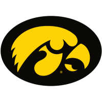 Iowa Hawkeyes 1979-Pres Primary Logo Iron-on Stickers (Heat Transfers)