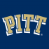 1997-Pres Pittsburgh Panthers Wordmark Logo Iron-on Stickers (Heat Transfers)