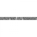 2011-Pres Prairie View A&M Panthers Wordmark Logo Decals Stickers