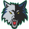 Minnesota Timberwolves Alternate Logo  Iron-on Stickers (Heat Transfers) version 2