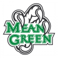 North Texas Mean Green 2005-Pres Alternate Logo4 Decals Stickers