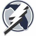 Tampa Bay Lightning Alternate Logo  Decals Stickers