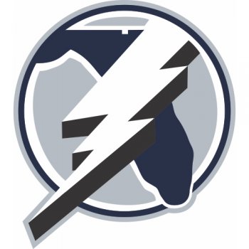 Tampa Bay Lightning Alternate Logo  Iron-on Stickers (Heat Transfers)