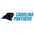 2012 Carolina Panthers Script Logo  Iron-on Stickers (Heat Transfers)