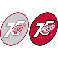 Detroit Red Wings Anniversary Logo  Iron-on Stickers (Heat Transfers)