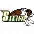 2001-Pres Siena Saints Primary Logo Decals Stickers