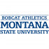 1997-Pres Montana State Bobcats Wordmark Logo Decals Stickers