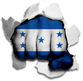 hulk HONDURAS Flag iron on transfer