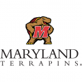 2001-Pres Maryland Terrapins Alternate Logo Iron-on Stickers (Heat Transfers)