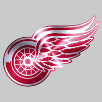 Detroit Red Wings Stainless steel logo iron on transfer